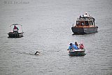 18-08-2026 Breda - De topsporter krijgt in zijn tocht over rivier De Mark begeleiding van een paar bootjes die hem in de gaten houden. - Fotokrant