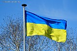 07-03-2025 Breda - Om steun te betuigen aan Oekraine heeft een Bredanaar de Oekraiense vlag in top gehesen. - Fotokrant