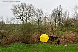 18-02-2024 Breda - Buiten lijkt het wel herfst. De hele dag waait en regent het. Aan het einde van de dag ligt er een gele paraplu in de struiken.  - Fotokrant