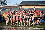 01-01-2023 Terheijden -Voordat de nieuwjaarsduik in het kerkdorp plaatsvond deden de deelnemers als opwarming de polonaise op de 1e dag van het nieuwe jaar. - Fotokrant