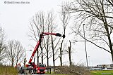 15-02-2022 Breda - Na een dag zagen met een automatische kettingzaagkraan zijn er 36 hoge populieren die aan de Rietdijk stonden klein gezaagd.De groenstrook die overblijft wordt ingericht als ecologische verbindingszone. - Fotokrant