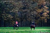 15-11-2019 Breda - Amazones draven op hun paarden over de dijken van de Vierde Bergboezem. - Fotokrant