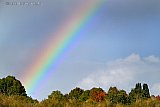 17-10-2026 Breda - Het is herfst en een Regenboog staat boven het bosgebied tussen Breda en Terheijden. - Fotokrant