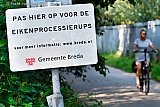 18-06-2019 Breda - De gemeente heeft op verschillende plekken in de wijk Haagse Beemden waarschuwingsborden geplaatst ivm de rupsenplaag.Inmiddels zijn er al verschillende bewoners getroffen door de brandharen van de processierups. - Fotokrant