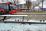 02-01-2023 Breda - Het veiligheidsglas ligt als een stille getuige in het bushokje. Het bleef niet bij het bushokje. Op andere plekken in de wijk zijn brievenbussen opgeblazen en sneuvelde ruiten van een portaal. - Fotokrant