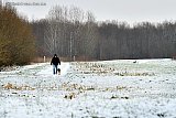 15-01-2024 Breda - De hoeveelheid sneeuw die er viel bleef beperkt tot een 4 cm. - Fotokrant