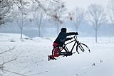 07-01-2026 Breda - Een fietser ploegt zich door wel 30 cm sneeuw. - Fotokrant