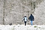 01-04-2022 Breda - Mensen wandelen al vroeg met de hond langs het prachtig besneeuwde Haagse Beemden bos. - Fotokrant