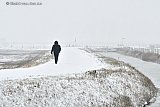 22-01-2019 Breda - De polder rond de stad  veranderde in een sneeuwlandschap. - Fotokrant