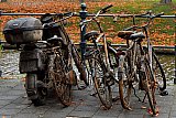 24-10-2025 Breda - UIt de singels opgeviste fietsen en een deelscooter vormen een stilleven. - Fotokrant