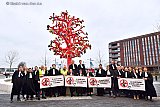 16-01-2019 Breda - Stakende advocaten voor het plein van het gerechtsgebouw in Breda. De Advocaten staken tegen de plannen van minister Dekker om de rechtsbijstand te beperken. - Fotokrant