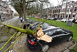 10-03-2019 Breda - De Zuidwesterstorm heeft extreem harde windstoten. Van een boom in de Parkstraat breekt een grote tak af die bovenop autos valt. - Fotokrant