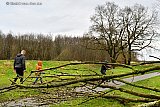 06-02-2022 Breda -  De storm heeft verschillende bomen omgeblazen aan de rand van de Haagse Beemden. - Fotokrant