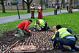 02-12-2020 Breda -  Medewerkers van de gemeente hebben de Nassau tulpenbollen geplant in de vorm van een enorme pijl die naar het centrum wijst. - Fotokrant