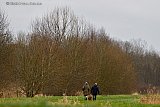 16-12-2024 Breda - De bomen zijn al kaal en met 10C is het warm voor de tijd van het jaar.  - Fotokrant