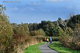 22-10-2024 Breda - Herfst aan de rand van de Haagse Beemden. De bomen zijn nog groen, het blad zit er nog aan, een temperatuur van 18c en wandelaars in korte broek. - Fotokrant