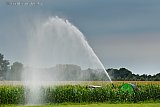 04-08-2022 Breda - Aan de rand van de Haagse Beemden is een boer in de avond nog bezig met zijn mais aan het beregenen. Er heerst droogte en boeren willen inkomstenderving door een slechte oogst voorkomen.
 - Fotokrant