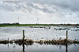 03-01-2024 Breda - Aan de rand van de Haagse Beemden lopen door de vele regen weilanden onder. Die zouden bij strenge vorst wel eens kunnen veranderen in prachtige ijsbaantjes. - Fotokrant