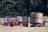 10-08-2026 Breda - Het onlangs gemaaide gras word van de droge wetlands afgehaald. In rollen word het afgevoerd. - Fotokrant