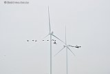 24-01-2023 Breda - De afgelopen maanden zijn ten noorden van de stad enorme windturbines gebouwd. Voor vogels vormen de enorme wieken als ze gaan draaien een bedreiging. - Fotokrant