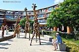 10-06-2023 Breda - De wijk Haagse Beemden bestaat 46 jaar en het is wijkfeest. Op winkelcentrum Heksenwiel lopen steltlopers verkleed als giraffes in de zinderende hitte bij 32 C.  - Fotokrant