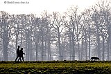 14-02-2023 Breda - Het is prachtig lente weer op Valentijnsdag om de hond uit te laten . De laag staande felle zon zorgt voor de sfeer. - Fotokrant