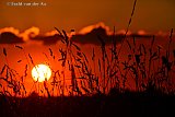 08-08-2022 Breda - Als de zon onder gaat aan de rand van de Haagse Beemden begint een periode van zeer warm weer.
 - Fotokrant